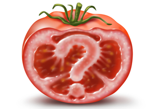 TOMATO-GMO-what-are-you-eating